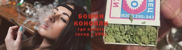 прущие крисы Магас