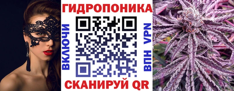Бошки Шишки VHQ Осташков